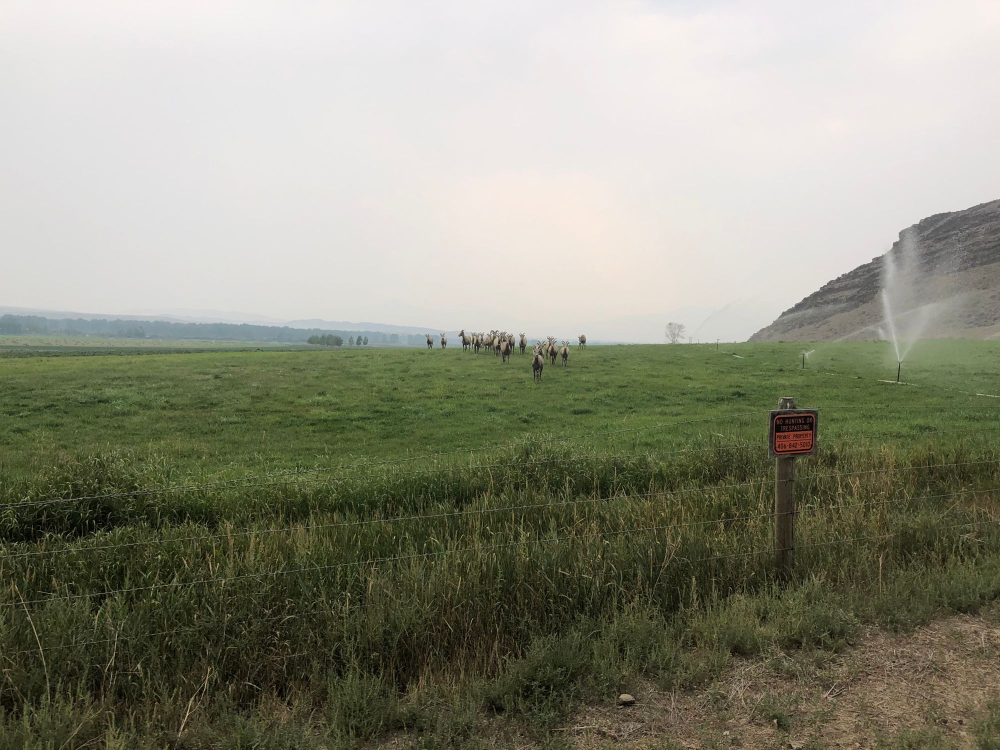 BIG SKY SPECTACULAIRE RACE REPORT